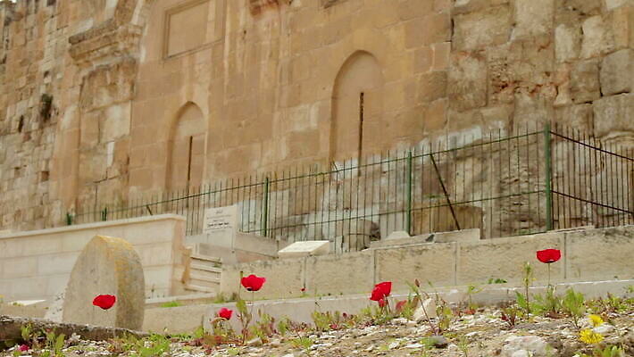 식물 꽃 벽 여행 건축양식 사람없음 건물 탑 무덤 도시 사찰 영혼 역사 재산 이슬람교 묘사 대문 양귀비 타운 고고학 랜드마크 숭배 예루살렘 옛날 이스라엘 팔레스타인 MOV 해외동영상 클립영상 건축물 교육 건축 종교 중동 종교건축 금융 문 동영상 서아시아 파일형식