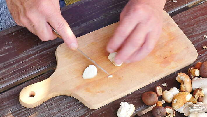 라이프스타일 식기 손 계절 음식 조각 이동 재료 부분 손가락 탁자 주택 도마 손바닥 요리 주방 요리사 저녁식사 신선 칼 자르기 준비 날것 냄새 나누기 곰팡이 그물버섯 인내 핸드메이드 4K MOV 해외동영상 클립영상 직업 가구 컨셉 모션 주방용품 건물 생활 신체부위 식사 버섯 동영상 파일형식