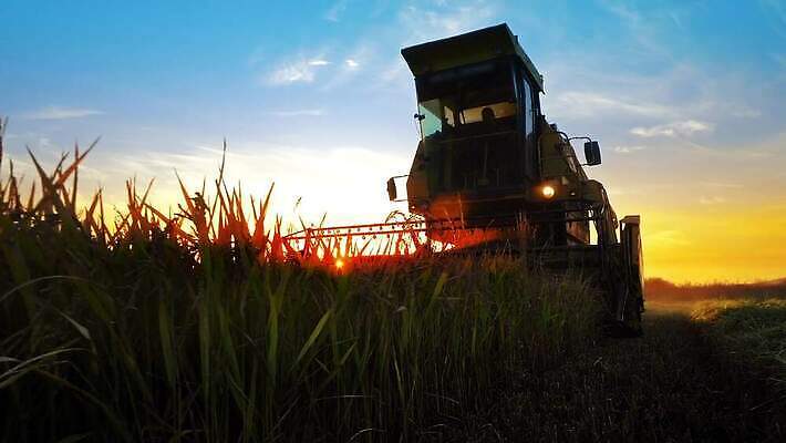 식물 산업 밭 농업 비즈니스 자연 하늘 안테나 사람 풍경 사람없음 초록색 여름 농작물 농장 일출 농사 기계 일몰 활발 수확 성장 시골 농부 결합 낟알 땅 밀 트랙터 8월 내추럴 밭일 숙성 호밀 4K MP4 해외동영상 클립영상 직업 계절 컬러 컨셉 통신 곡류 노을 날짜 농기계 생태계 특수차량 동영상 파일형식