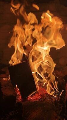 나무 계절 여행 백그라운드 크리스마스 겨울 오렌지 모션 자연 휴가 불꽃 산 사람없음 목재 빨간색 소풍 얼음 어둠 황혼 추위 뜨거움 동굴 야간 저녁 숲 위험 장작 모닥불 휴양지 벽난로 통나무 숯 연소 석탄 수목 재 폭설 생존 안락 MOV 해외동영상 클립영상 자연요소 식물 기념일 컬러 컨셉 과일 재료 불 눈_날씨 야외활동 일몰 장소 자연재해 생태계 동영상 파일형식