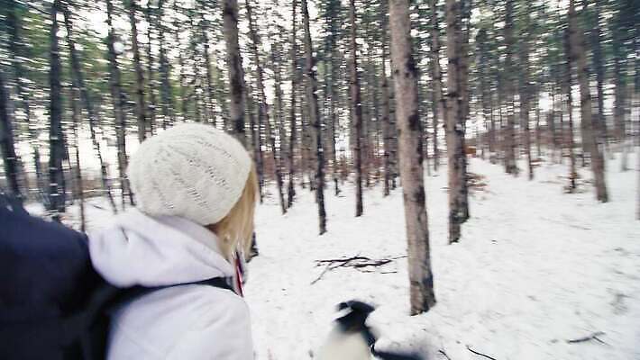 나무 라이프스타일 여자 행복 스포츠 여행 겨울 배낭 자연 하늘 산 한명 사람 야외 걷기 산책 트래킹 하이킹 장비 추위 흰색 춤 숲 배낭여행 백패커 부주의 하이커 눈내림 4K MP4 해외동영상 클립영상 식물 1 계절 감정 컬러 가방 모션 레저 문화예술 휴식 눈_날씨 생활 생태계 동영상 파일형식