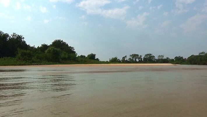 나무 식물 동물 공원 호수 야생동물 여행 백그라운드 포유류 파충류 자연 조류 하늘 사람없음 야외 초록색 물 파란색 강 컬러풀 미국 젖음 황무지 남아메리카 습지 숲 홍수 앵무새 브라질 남쪽 내추럴 동물상 생태학 아마존 브라질사람 MOV 해외동영상 클립영상 자연요소 공공시설 교육 컬러 북아메리카 아메리카 조형물 자연재해 방향 생태계 동영상 파일형식