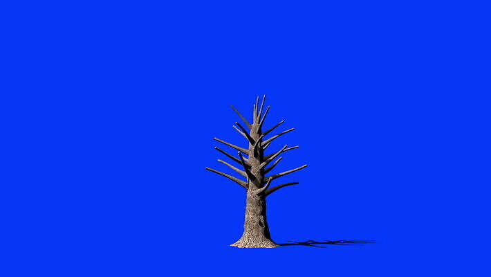 나무 식물 1 계절 공원 실루엣 백그라운드 낙엽 잎 자연 사람없음 야외 목재 초록색 3D 검은색 활발 성장 흰색 나뭇가지 큼 디지털합성 싱글 만들기 활기 애니메이션 내추럴 고립 미루나무 생태학 웅장함 타임랩스 MOV 해외동영상 클립영상 공공시설 교육 컬러 컨셉 재료 모션 촬영기법 크기 생태계 동영상 파일형식