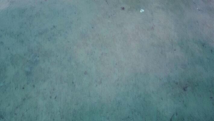 식물 유럽 호수 여행 자연 표면 휴가 바닥 안테나 빨대 사람없음 야외 초록색 물 파란색 강 반사 노란색 평화 환경 침묵 연못 신선 장면 암초 북쪽 밀짚 내추럴 드론 마케도니아 발칸반도 4K MP4 해외동영상 클립영상 자연요소 나라 컬러 컨셉 통신 소리 짚 방향 생태계 동영상 파일형식 남유럽