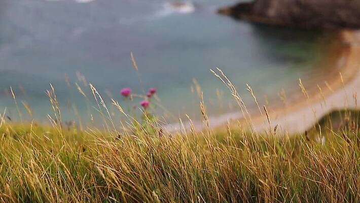 꽃 유럽 선 바다 섬 여행 백그라운드 자연 하늘 휴가 영국 잉글랜드 파노라마 사람 풍경 사람없음 야외 초록색 물 도시풍경 항구 보라색 역사 언덕 장면 지역 포트 동영상 랜드마크 수평선 MOV 해외동영상 클립영상 자연요소 식물 나라 컬러 교통시설 촬영기법 도시 생태계 파일형식