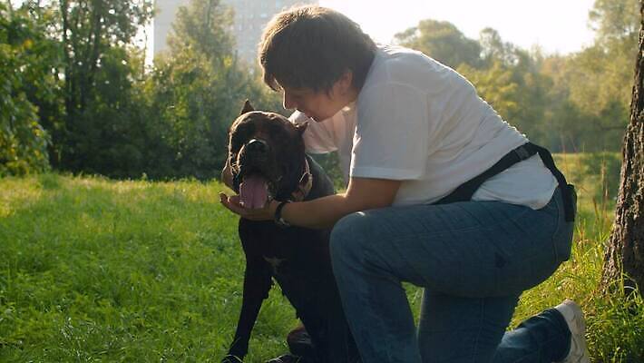 나무 동물 공원 여자 행복 2 밭 자연 함께함 사랑 한명 사람 야외 초록색 친구 반려동물 귀여움 맑음 검은색 우정 기쁨 만지기 개 주인 송곳니 내추럴 돌봄 복종 충실 타격 4K MOV 해외동영상 클립영상 식물 1 공공시설 감정 컬러 컨셉 농업 포유류 관계 모션 날씨 치아 생태계 동영상 파일형식