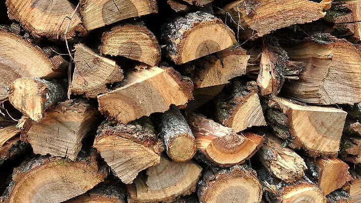 나무 산업 백그라운드 겨울 자연 불 건조 사람없음 목재 갈색 쌓기 에너지 숲 장작 자르기 묘사 날것 통나무 연료 잡동사니 흙더미 다리찢기 내추럴 수목 개조 4K HD MOV 해외동영상 클립영상 자연요소 식물 계절 컬러 재료 모션 흙 생태계 동영상 파일형식 더미