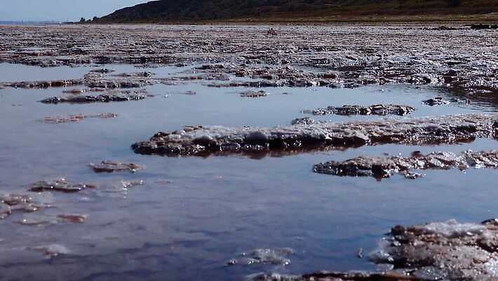 호수 바다 백그라운드 자연 사람없음 야외 물 흰색 약초 크리스탈 휴양지 진흙 결정체 지구온난화 내추럴 우크라이나 짠맛 오데사 4K MP4 해외동영상 클립영상 자연요소 유럽 컬러 장소 풀_식물 맛 광석 생태계 동영상 기후변화 파일형식