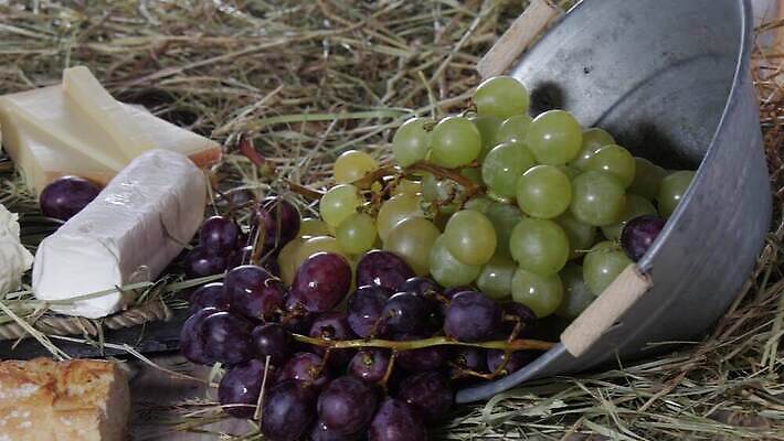 음식 포도 치즈 건강 사람없음 빨간색 초록색 와인 어둠 프랑스 흰색 시골 신선 맛 다발 밀짚 내추럴 프랑스어 식품점 양조장 4K MP4 해외동영상 클립영상 문자 유럽 컬러 컨셉 과일 유제품 주류 상점 짚 동영상 파일형식