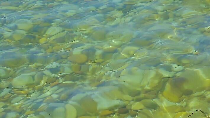 동물 호수 야생동물 바다 컬러 여행 백그라운드 모션 자연 표면 바닥 사람없음 초록색 물 파란색 빛 강 환경 수중 수영 젖음 흐름 신선 투명 개울 스노클링 아래 다이빙 슛 암초 내추럴 바하마 많음 4K MP4 해외동영상 클립영상 자연요소 컨셉 수상스포츠 방향 생태계 위치 동영상 수중스포츠 파일형식