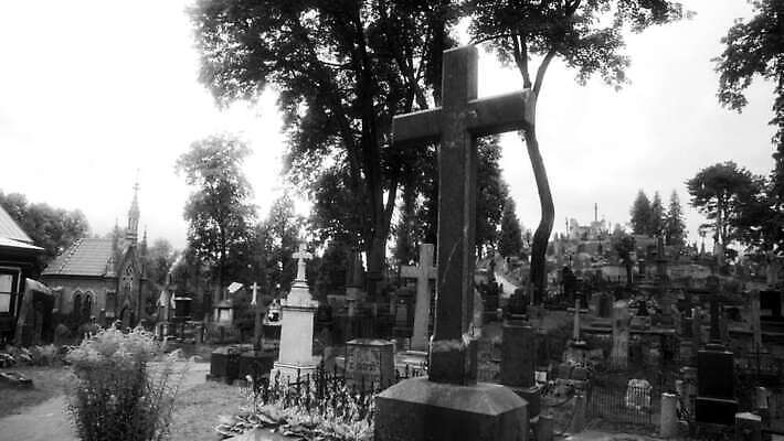 나무 유럽 십자가 스웨덴 사람없음 할로윈 죽음 무덤 잡기 유령 무서움 땅 비석 묘사 러시아 신성 10월 깊이 리투아니아 소비에트 장례식 오싹 4K MOV 해외동영상 클립영상 식물 감정 나라 모션 북유럽 날짜 동영상 파일형식