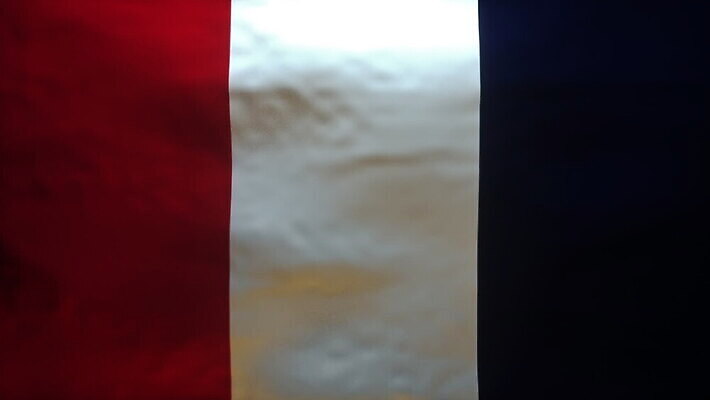 유럽 물결 여행 백그라운드 컨셉 모션 건강 사람없음 글로벌 3D 프랑스 깃발 환경오염 바이러스 질병 위험 심볼 디지털합성 웨이브 만들기 감염 전염 활기 애니메이션 박테리아 프랑스어 고립 삼색 유럽연합 전염병 파리(프랑스) 코로나바이러스 정확 MOV 해외동영상 클립영상 문자 나라 의학 동영상 파일형식