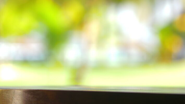 식물 손 꽃잎 꽃 백그라운드 잎 꽃무늬 모션 자연 탁자 사람없음 초록색 수건 침묵 흰색 떨어짐 소프트포커스 심볼 니카라과 4K MOV 해외동영상 클립영상 컬러 가구 컨셉 무늬 촬영기법 신체부위 위생용품 소리 남아메리카 생태계 동영상 파일형식