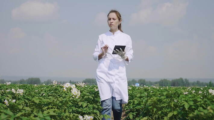 식물 직업 손 여자 과학 밭 농업 인터넷 비즈니스 통신 자연 모바일 노동자 감자 실험 한명 여름 농작물 컴퓨터 알약 농장 환경 디지털 장비 정보 수확 잡기 작업 실험실 농부 생명공학 과학자 분석 유기농 원예 전자 밭일 제어 4K MOV 해외동영상 클립영상 1 웰빙 계절 산업 컨셉 채소 의학 모션 사람 취미 신체부위 전자제품 약 생태계 동영상 학자 파일형식