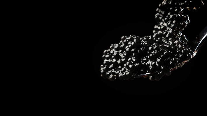 음식 재료 건강 어류 사람없음 빛 금속 숟가락 검은색 식사 어둠 신선 고급 맛 먹기 해산물 날것 식품점 절임 짠맛 캐비아 프리미엄 맛있는 4K MOV 해외동영상 클립영상 컬러 컨셉 식재료 모션 재질 수저 상점 수중동물 동영상 파일형식