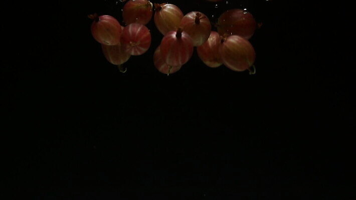 식물 열매 백그라운드 이동 과일 모션 표면 그림자 사람없음 초록색 물 갈색 검은색 어둠 경기장 거품 신선 원형 투명 액체 빨래 작음 크리스탈 아래 싱크대 가스 거위 구스베리 얇은 디테일 MOV 해외동영상 클립영상 자연요소 도형 컬러 컨셉 가사 스포츠시설 조류 크기 광석 방향 개수대 위치 동영상 파일형식