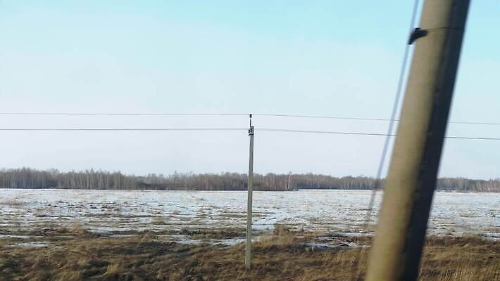 나무 여행 백그라운드 겨울 창문 하늘 사람 풍경 사람없음 초록색 마을 봄 기차 역 숲 언덕 시베리아 평야 혼자 4K MOV 해외동영상 클립영상 식물 계절 육상교통 컬러 교통시설 자연 대중교통 동영상 파일형식