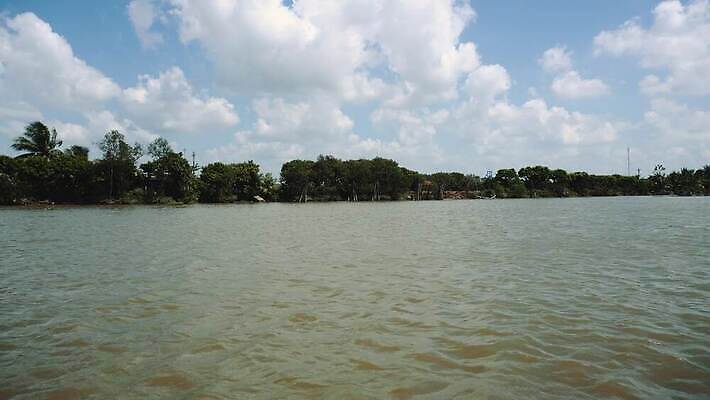 식물 전통 아시아 여행 밭 동양인 사람없음 초록색 강 시골 도시 보트 시장 숲 생태계 문서 베트남 남쪽 메콩강 4K MOV 해외동영상 클립영상 나라 컬러 농업 배_교통 인종 동남아시아 방향 동영상 파일형식