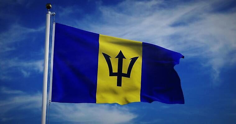 나무 배너 물결 파도 섬 백그라운드 하늘 바람 사람없음 그래픽 흐름 자유 깃발 불기 군용 만들기 지역 깃대 봉 애니메이션 동영상 애국심 명예 서인도제도 전국 정부 통일 4K MOV 해외동영상 슬로모션 클립영상 자연요소 식물 바다 컨셉 모션 날씨 군대 촬영기법 파일형식