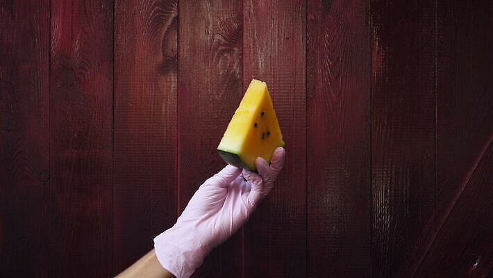 라이프스타일 손 음식 컬러 조각 장갑 백그라운드 다이어트 과일 수박 건강 안전 빨간색 노란색 신선 잡기 달콤 맛 위생 멜론 먹기 순수 상쾌 유기농 미생물 라텍스 숙성 맛있는 4K MOV 해외동영상 클립영상 웰빙 잡화 감정 컨셉 모션 생물 생활 신체부위 동영상 파일형식