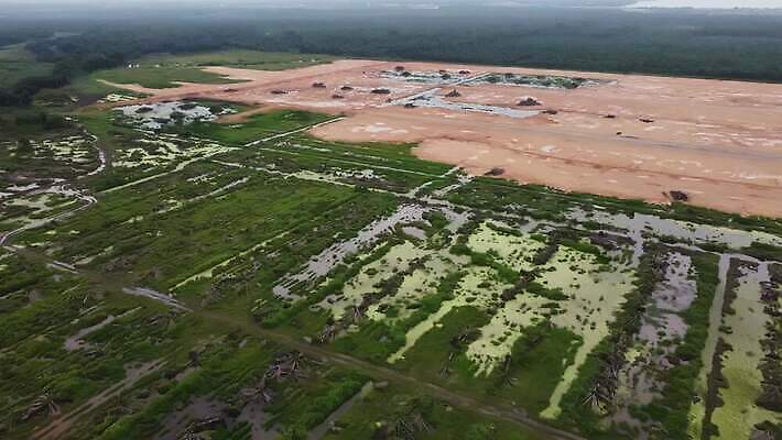 나무 잎 밭 농업 자연 파노라마 손바닥 사람없음 야외 초록색 고요 탐험 시골 신선 땅 먼지 밭일 착취 비어있는 4K MOV 해외동영상 클립영상 식물 손 산업 컬러 촬영기법 생태계 동영상 파일형식