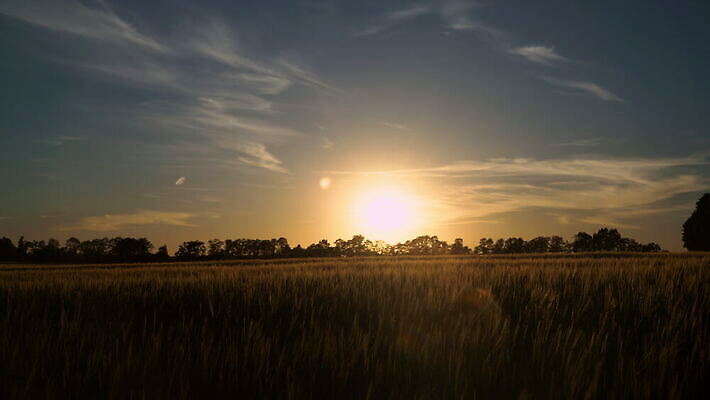 구름 1 남자 실루엣 여행 이동 밭 자연 하늘 한명 사람 풍경 초원 여름 빛 햇빛 태양 걷기 일출 황혼 일몰 봄 시골 황금 저녁 땅 밀 내추럴 혼자 4K MOV 해외동영상 클립영상 자연요소 계절 컨셉 농업 모션 곡류 촬영기법 노을 야간 생태계 동영상 파일형식
