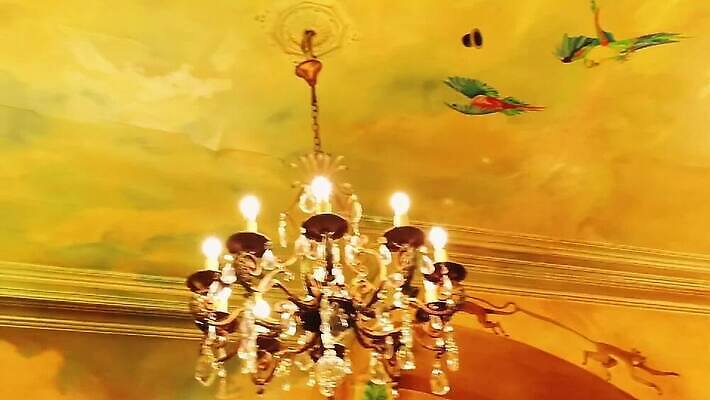 디자인 유럽 음료 유리 탁자 실내 사람없음 내부 식당 와인 식사 저녁식사 카페 방 알코올 도시 칵테일 바 센터 고급 메뉴 만족 벨기에 브뤼셀 양조장 MOV 해외동영상 클립영상 감정 나라 가구 컨셉 재질 주류 상점 동영상 서유럽 파일형식