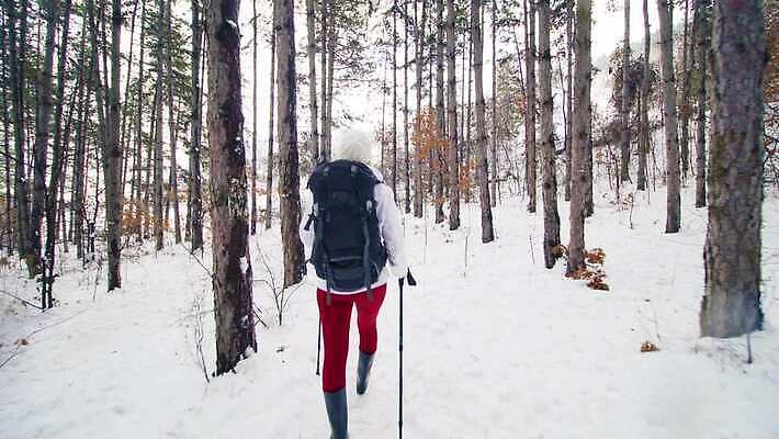 나무 라이프스타일 여자 행복 스포츠 여행 겨울 배낭 자연 하늘 산 한명 사람 풍경 야외 걷기 산책 트래킹 하이킹 장비 추위 흰색 숲 배낭여행 백패커 하이커 눈내림 4K MP4 해외동영상 클립영상 식물 1 계절 감정 컬러 가방 모션 레저 휴식 눈_날씨 생활 생태계 동영상 파일형식