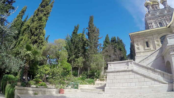 전통 공원 아시아 종교 여행 건축양식 산 거리 사람없음 건물 도시풍경 교회 정원 벚꽃 도시 중세 역사 황금 중앙 땅 올리브 신성 종탑 동쪽 랜드마크 러시아인 순례 예루살렘 옛날 이스라엘 팔레스타인 4K MOV 해외동영상 클립영상 서양인 건축물 공공시설 열매 건축 꽃 나라 중동 종교건축 풍경 탑 방향 동영상 서아시아 파일형식