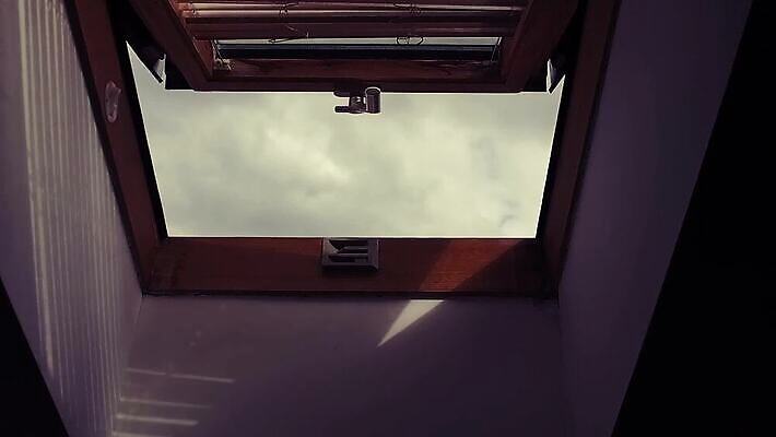 구름 디자인 외관 산업 곤충 백그라운드 건축양식 창문 유리 하늘 지붕 출입구 아파트 주택 프레임 실내 사람없음 내부 건물 목재 빛 햇빛 방 수확 도시 오픈 재산 천장 천창 스타일 1인칭시점 MP4 해외동영상 클립영상 자연요소 나무 동물 건축물 시선 건축 농업 재료 재질 금융 태양 동영상 파일형식