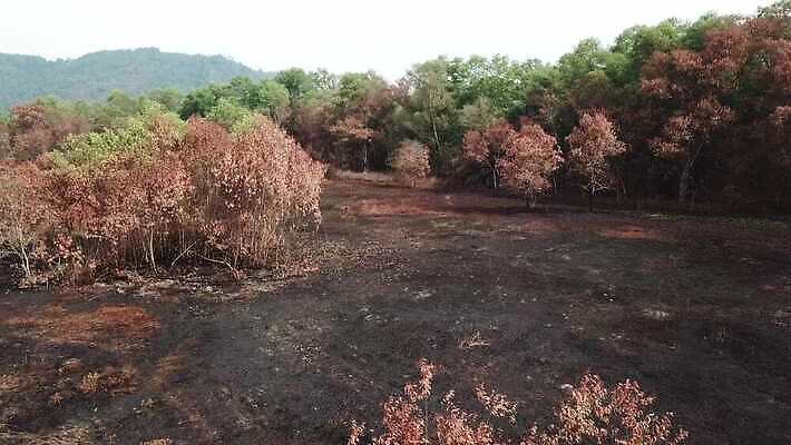 백그라운드 밭 농업 건조 사람없음 환경 흙 수확 시골 땅 가뭄 문제 노출 연소 밭일 4K MOV 해외동영상 클립영상 산업 날씨 동영상 파일형식