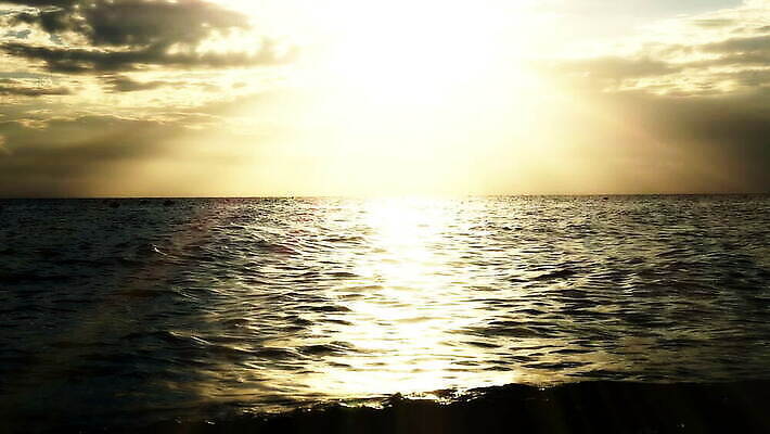 모래 파도 바다 섬 여행 백그라운드 오렌지 자연 하늘 휴가 휴식 사람없음 물 파란색 모래사장 햇빛 태양 일출 맑음 황혼 일몰 새벽 서핑 황금 하와이 대서양 파라다이스 하와이인 수평선 MOV 해외동영상 슬로모션 클립영상 자연요소 외국인 컬러 컨셉 과일 날씨 촬영기법 노을 미국 수상스포츠 생태계 동영상 파일형식