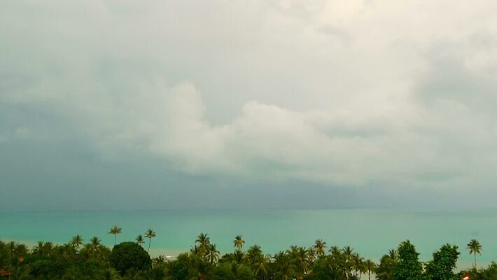 나무 바다 섬 여행 하늘색 모션 자연 하늘 휴가 휴식 파노라마 손바닥 사람없음 물 파란색 평화 환경 맑음 꿈 만 휴양지 코코넛 폭풍 천국 흐림 석호 이국적 터키석 파라다이스 포상금 수평선 MOV 해외동영상 클립영상 자연요소 식물 손 컬러 컨셉 돈 과일 날씨 촬영기법 장소 보석 생태계 동영상 파일형식