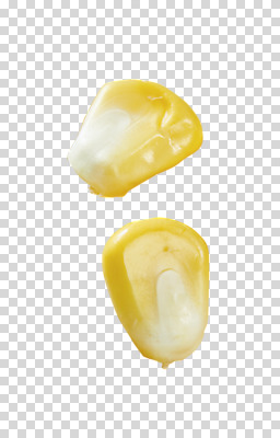 편집 편집이미지 옥수수 누끼 사람없음 두개 낟알 PNG 옥수수알갱이 편집소스 초당옥수수 2 곡류 파일형식