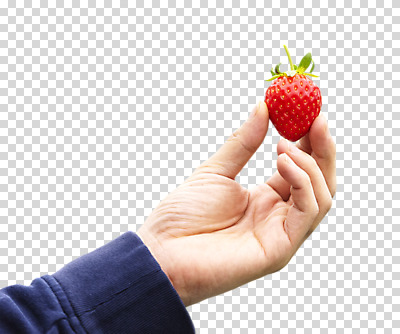 편집 편집이미지 손 딸기 들기 누끼 신체부위 잡기 PNG 편집소스 과일 모션 사람 파일형식