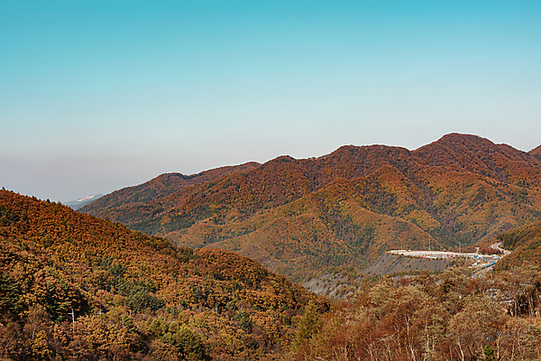포토 JPG 주간 자연 하늘 산 사람없음 야외 가을풍경 맑음 가을 정선 국내포토 자연요소 계절 날씨 풍경 생태계 강원도 파일형식 가을_계절
