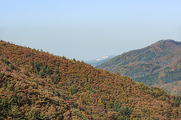포토 JPG 주간 자연 하늘 산 사람없음 야외 가을풍경 가을 정선 국내포토 자연요소 계절 풍경 생태계 강원도 파일형식 가을_계절