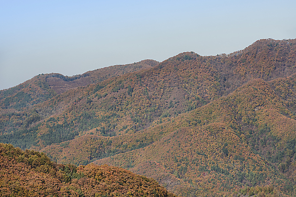포토 JPG 주간 자연 하늘 산 사람없음 야외 가을풍경 가을 정선 국내포토 자연요소 계절 풍경 생태계 강원도 파일형식 가을_계절