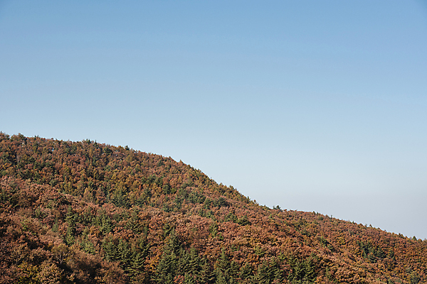포토 JPG 주간 자연 하늘 산 사람없음 야외 가을풍경 가을 정선 국내포토 자연요소 계절 풍경 생태계 강원도 파일형식 가을_계절