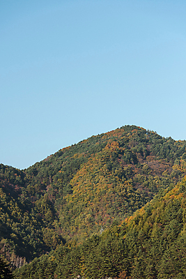 포토 JPG 주간 자연 하늘 산 사람없음 야외 가을풍경 가을 정선 국내포토 자연요소 계절 풍경 생태계 강원도 파일형식 가을_계절