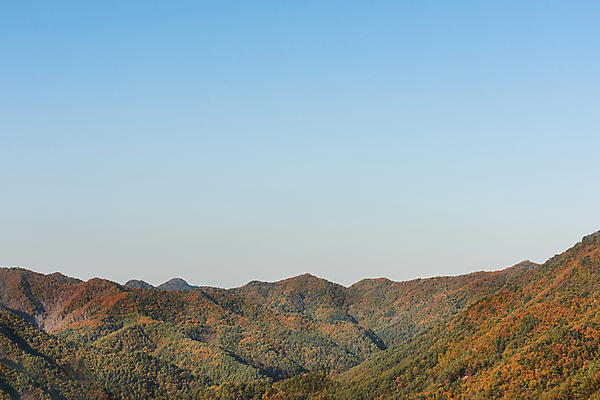포토 JPG 주간 자연 하늘 산 사람없음 야외 가을풍경 가을 정선 국내포토 자연요소 계절 풍경 생태계 강원도 파일형식 가을_계절
