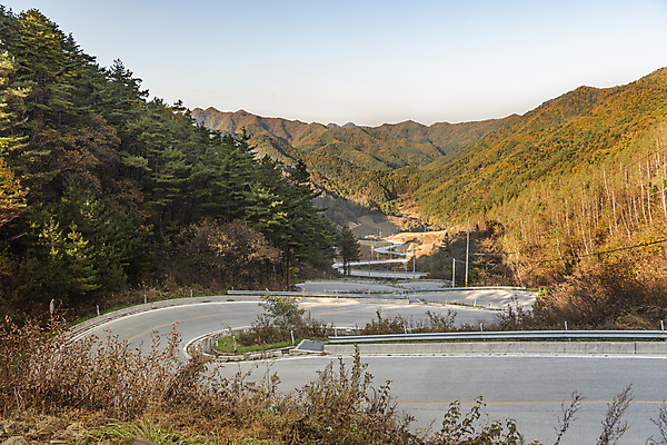 포토 JPG 주간 나무 도로 하늘 산 사람없음 야외 가을풍경 가을 커브길 정선 문치재 국내포토 자연요소 식물 계절 길 교통시설 풍경 강원도 파일형식 가을_계절
