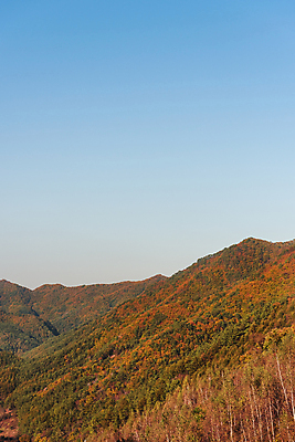 포토 JPG 주간 자연 하늘 산 사람없음 야외 가을풍경 가을 정선 국내포토 자연요소 계절 풍경 생태계 강원도 파일형식 가을_계절