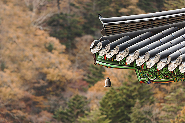 포토 JPG 주간 사람없음 야외 가을풍경 가을 사찰 기와지붕 오대산 지붕처마 평창 풍경종 국내포토 자연요소 계절 종교건축 지붕 산 기와 풍경 종 강원도 처마 파일형식 가을_계절
