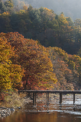 포토 JPG 주간 자연 단풍나무 사람없음 야외 강 가을풍경 가을 섶다리 오대산 평창 가교 국내포토 자연요소 나무 건축물 계절 단풍 산 풍경 생태계 강원도 파일형식 가을_계절