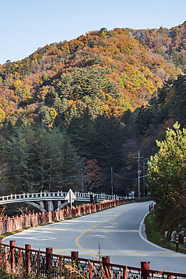 포토 JPG 주간 도로 사람없음 야외 울타리 가을풍경 가을 오대산 평창 가교 국내포토 자연요소 건축물 계절 길 교통시설 산 풍경 담장 강원도 파일형식 가을_계절