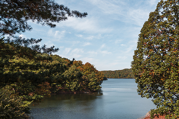 포토 JPG 주간 나무 구름 하늘 사람없음 야외 가을풍경 가을 대청호 청남대 국내포토 청주시 자연요소 식물 계절 호수 풍경 충청북도 청주 파일형식 청주_지역 가을_계절