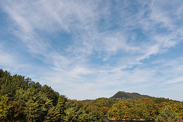 포토 JPG 주간 구름 하늘 산 사람없음 야외 가을풍경 맑음 가을 청남대 국내포토 청주시 자연요소 계절 날씨 풍경 충청북도 파일형식 청주_지역 가을_계절