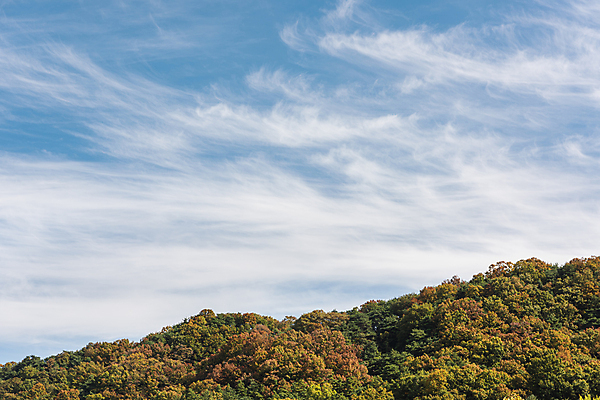 포토 JPG 주간 구름 하늘 산 사람없음 야외 가을풍경 맑음 가을 청남대 국내포토 청주시 자연요소 계절 날씨 풍경 충청북도 파일형식 청주_지역 가을_계절