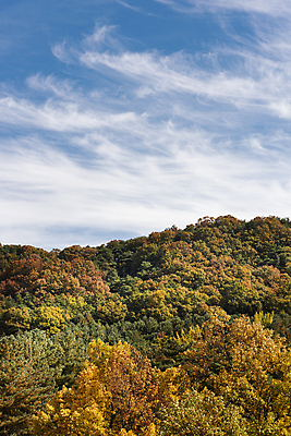 포토 JPG 주간 구름 하늘 산 사람없음 야외 가을풍경 맑음 가을 청남대 국내포토 청주시 자연요소 계절 날씨 풍경 충청북도 파일형식 청주_지역 가을_계절